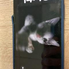 Iphone, ako bolo nahlásené Pouw Vervoer pomocou iLost