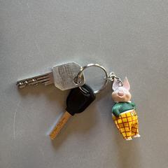 Sleutels met varkentje a été signalé sur iLost