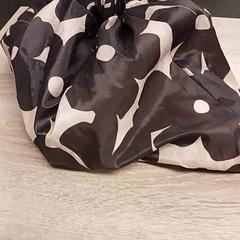 Bag, as reported by EBS Spijkenisse using iLost
