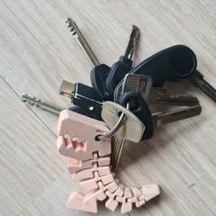 sleutels, iLost-i jakinarazi zaion moduan