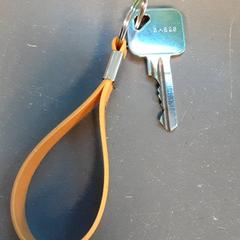 Chave, como reportado por Diergaarde Blijdorp utilizando o iLost