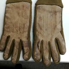 Handschoenen Donkergroen, zoals gemeld door Burgers' Zoo met iLost