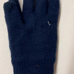 Rękawica, zgłoszono przez Het Amsterdamse Winterparadijs przy użyciu iLost