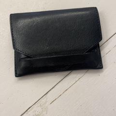 Carteira Shah, segundo informou GVB usando iLost