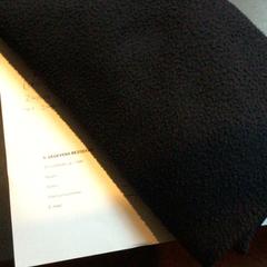 Schal & Haarklammer, gemeldet von TivoliVredenburg über iLost