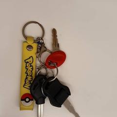 鍵 2 sleutels 1 rode がiLostで HvA Amstelcampus によって報告されました