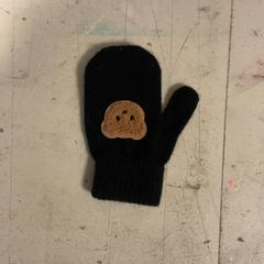 Luvas Zwart, segundo informou Artis usando iLost