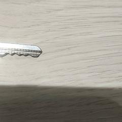 Claus, segons ha informat Centraal magazijn mitjançant iLost