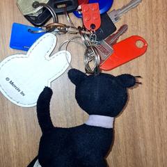 Nycklar, rapporterat av Qbuzz DMG med iLost