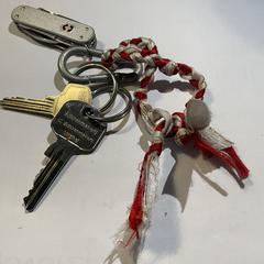 Sleutelbos, som rapportert til iLost