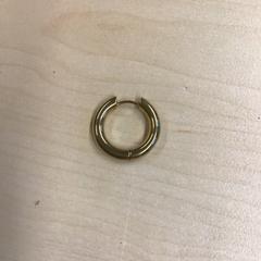 Oorbel, zoals gemeld door Gemeente Nijmegen met iLost