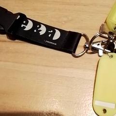 Nøkkel, som rapportert av Beekse Bergen Resorts en Hotel ved bruk av iLost