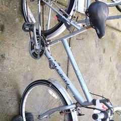 Dámské kolo Raleigh, jak nahlášeno Stadswerk072 pomocí iLost