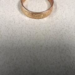 Anell Koperkleurig, segons ha informat Transdev Hoeksche Waard Goeree Overflakkee mitjançant iLost