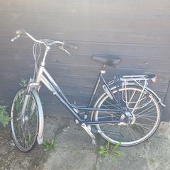 Fiets, segons s'ha informat a iLost