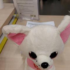 Manteta, segons ha informat IKEA Toulon mitjançant iLost