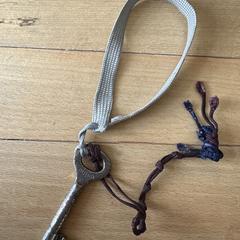 Sleutel, som rapportert til iLost