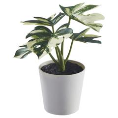 منتج ايكيا، كما تم الإبلاغ عنه بواسطة IKEA Alcorcón عبر iLost
