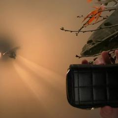 Portefuille Zwart leder, gemeldet von Regio Limburg - Leuven über iLost