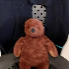 Peluche, ha sido reportado por Arriva Infoshop Enschede con iLost