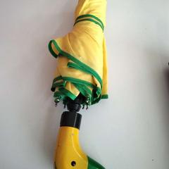 Parapluie, a été signalé par Twisto utilisant iLost