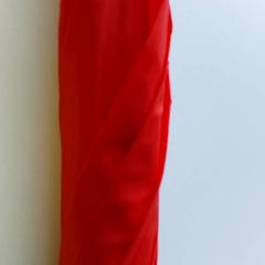 傘 - rood がiLostで Centraal magazijn によって報告されました