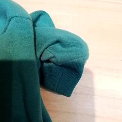 Pullover, gemeldet von Beekse Bergen Resorts en Hotel über iLost