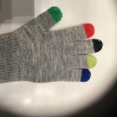 Handschoen/glove, as reported by Rijksmuseum using iLost