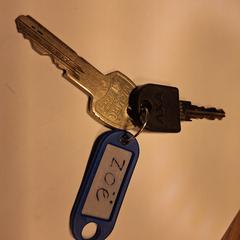 Sleutels, come riportato a iLost