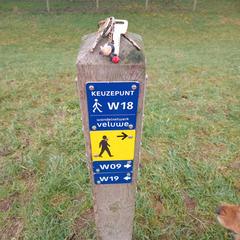 Sleutelbos, as reported to iLost