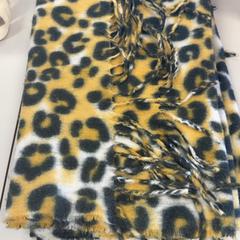 Xaile Luipaardprint, como reportado por Regio Limburg - Leuven utilizando o iLost