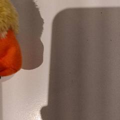 Przytulanka, zgłoszono przez De Efteling przy użyciu iLost