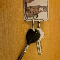 Chiave, come riportato da Mauritshuis Den Haag utilizzando iLost