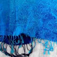 ショール がiLostで EBS Tramplein によって報告されました