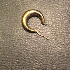 Earrings, as reported by Hotel van der Valk Maastricht using iLost