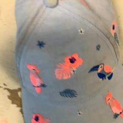 Kappe, som rapportert av Artis ved bruk av iLost