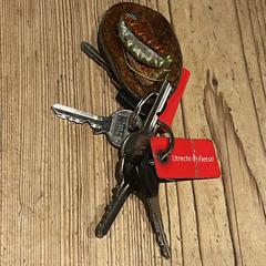 Sleutelbos, gerapporteerd met iLost