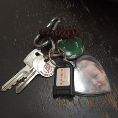 Sleutelbos, iLost'a bildirildiği gibi