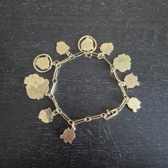 Armband, como reportado ao iLost