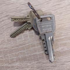 Chaves, segundo informou EBS OV Poeldijk usando iLost