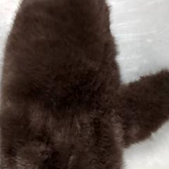 Rukavice Bruin, jak nahlášeno Arriva Friesland / Groningen pomocí iLost