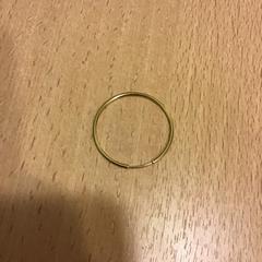 Orecchino, come riportato da Qbuzz U-OV utilizzando iLost