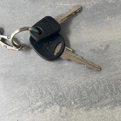 Klíče, jak nahlášeno RRReis Arriva Achterhoek-Rivierenland pomocí iLost
