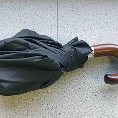 Regenschirm, gemeldet von Regio Limburg - Leuven über iLost