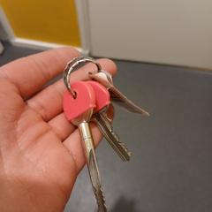 Sleutels がiLostに報告されました