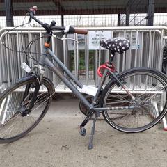 レディースバイク Adventure grijs がiLostで Fietsdepot によって報告されました