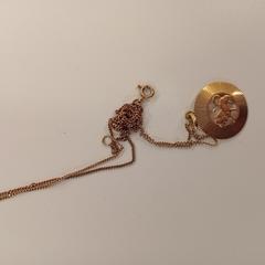 Náhrdelník ketting met bedel leeuw, jak nahlášeno HU Amersfoort pomocí iLost