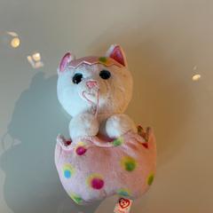 Wypchane zwierzę, zgłoszono przez Room Mate Bruno przy użyciu iLost