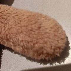 Knuffel, as reported by De Efteling using iLost