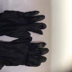 Handschoenen/gloves, as reported by Rijksmuseum using iLost